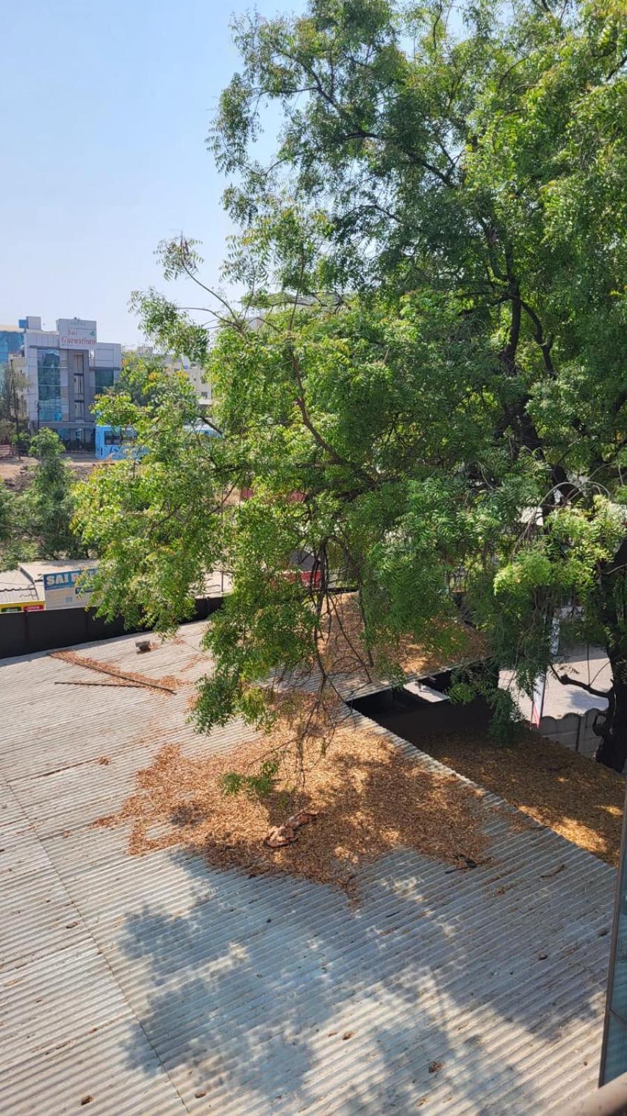 Hotel Sachidanand 舍地 外观 照片